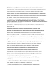 Programa.ataskaita.pdf